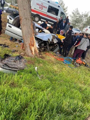 Şanlıurfa'da Trajik Kaza: Otomobil Ağaca Çarptı, Sürücü Ağır Yaralı