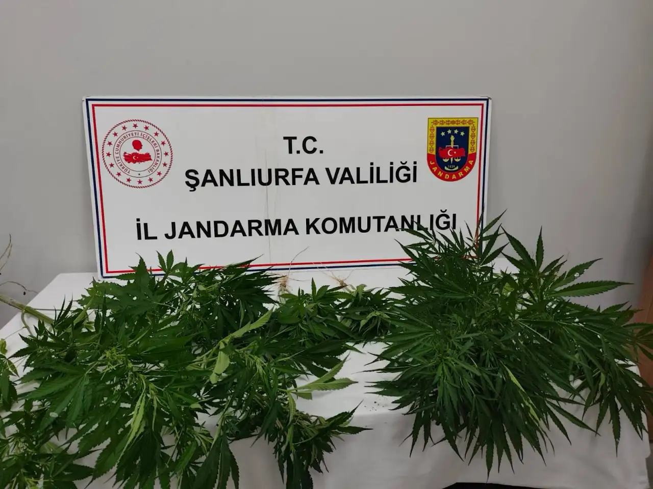Şanlıurfa&rsquo;da Zehir Tacirlerine Ge&ccedil;it Yok: Jandarmadan Hilvan ve Halfeti&rsquo;de Eş Zamanlı Darbe!