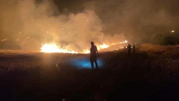 Şanlıurfa Eyyübiye'de Orman Yangını Kontrol Altına Alındı