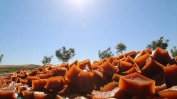 Şanlıurfa'nın Hasenik Pestili'ne Coğrafi İşaret Tescili