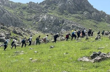 Siirt Bacavan Yaylası'nda Ters Lalelerin Büyüleyici Dansı