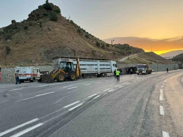 Siirt Baykan'da Trafik Kazası: İki Yaralı ve 40 Küçükbaş Hayvanın Telef Olduğu Facia