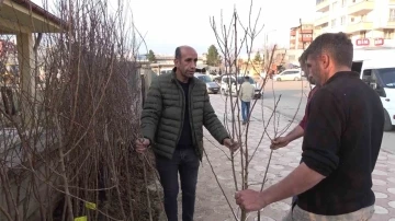 Siirt’te Baharla Birlikte Meyve Fidanları Toprakla Buluşuyor