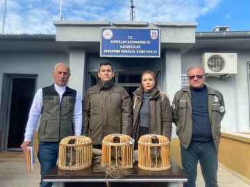 Siirt'te Kaçak Avcılığa Geçit Yok: 3 Kınalı Keklik Doğaya Geri Döndü
