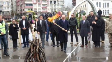 Siirt'te Nevruz Bayramı Coşkuyla Kutlandı