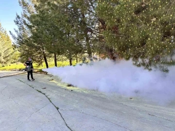 Siirt'te Yaz Öncesi Kapsamlı İlaçlama Çalışması Başladı