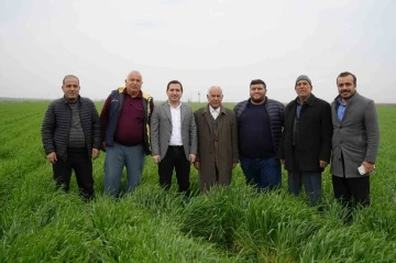 Sınır Kenti Kilis'te Çiftçilerin Yüzü Güldü: Beklenen Yağışlar ve Yüksek Rekolte Umudu