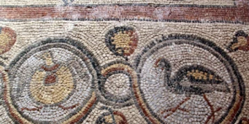 Sinop'ta 1600 Yıllık Mozaikler Restorasyonun Ardından Turizme Hazır
