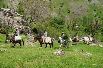 Şırnak Dağlarında Şifa Peşinde: Terörden Arındırılan Bölgelerde Şifalı Otlar Yeniden Yeşeriyor