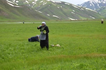 Şırnak'ta 200 Kilometrelik Yolculuk: Faraşin Yaylası'nda Sirik Otu Hasadı