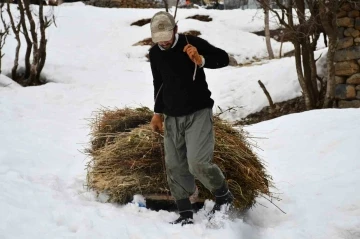 Şırnak'ta Besicilerin Kış Kabusu: Kar Tesviye Edip Kızaklarla Saman Taşıyorlar