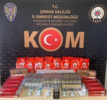 Şırnak'ta Geniş Çaplı Asayiş ve Kaçakçılık Operasyonu: 29 Gözaltı