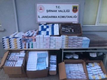 Şırnak'ta Kaçak İlaç Operasyonu: İki Şüpheli Yakalandı