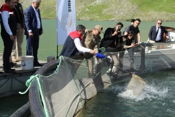 Şırnak'ta Kafeslerden 30 Ton Balık Hasat Edildi