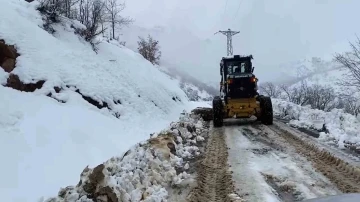 Şırnak'ta Kar Yağışının Hayatı Olumsuz Etkilemesi