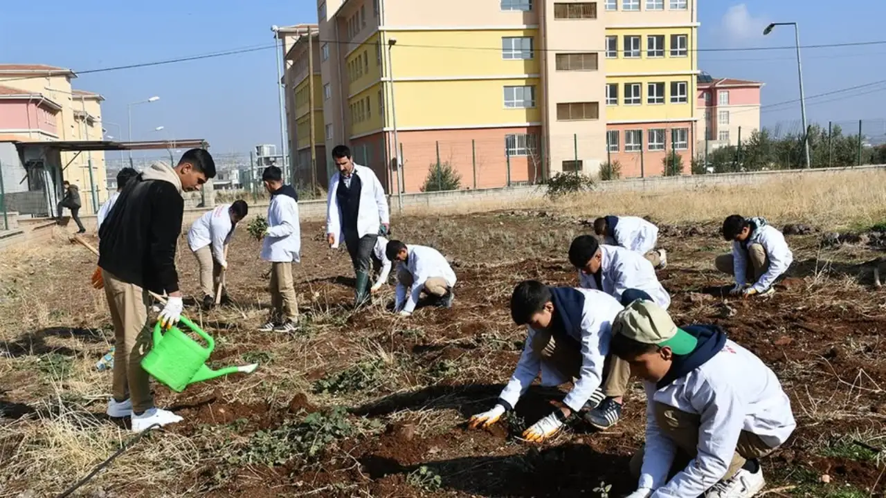 Siverek&rsquo;in Gen&ccedil; &Ccedil;ift&ccedil;ileri Toprağı Sanata D&ouml;n&uuml;şt&uuml;r&uuml;yor: Sultan Alparslan Lisesi&rsquo;nde Aromatik Devrim