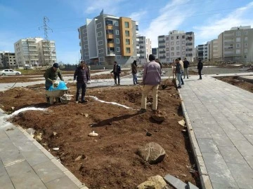 Siverek'in Yeni Parkında Son Durum