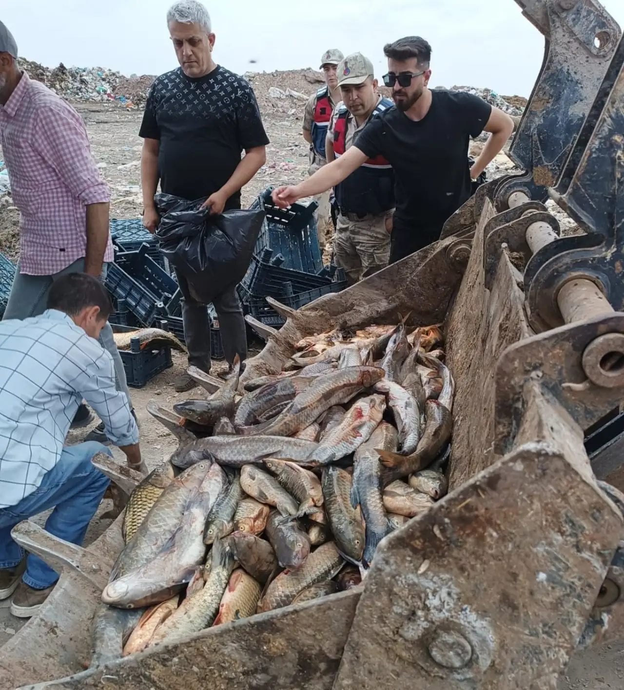 Siverek'te 2 Ton Yasa Dışı Avlanmış Balık Ele Geçirildi