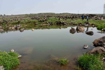 Siverek'te Gölete Giren Çocuklar Boğulma Tehlikesi Geçirdi