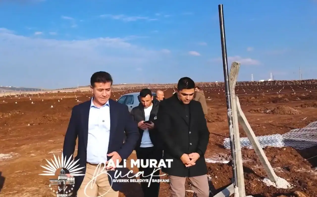 Siverek'te Şire Üzümüne Hayat Veren Büyük Proje Başladı