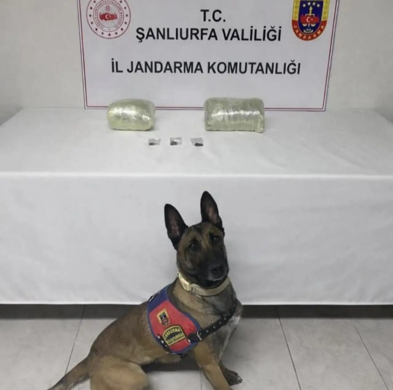 Siverek&rsquo;te Zehir Tacirlerine Darbe