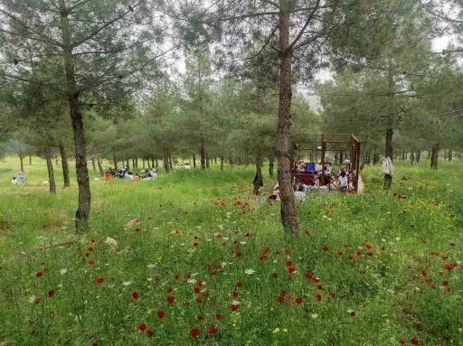 Tabiat Parkı’na Yoğun İlgi
