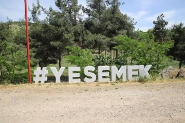 Yesemek Açık Hava Müzesi'nin Tarihi Dokusunu Koruma Zaferi