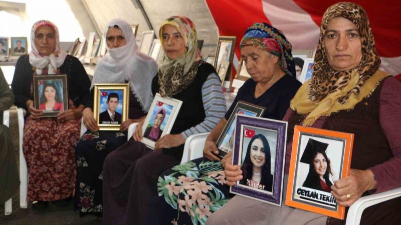 Diyarbakır Annelerinden Sezgin Tanrıkulu&#039;na Sert Tepki