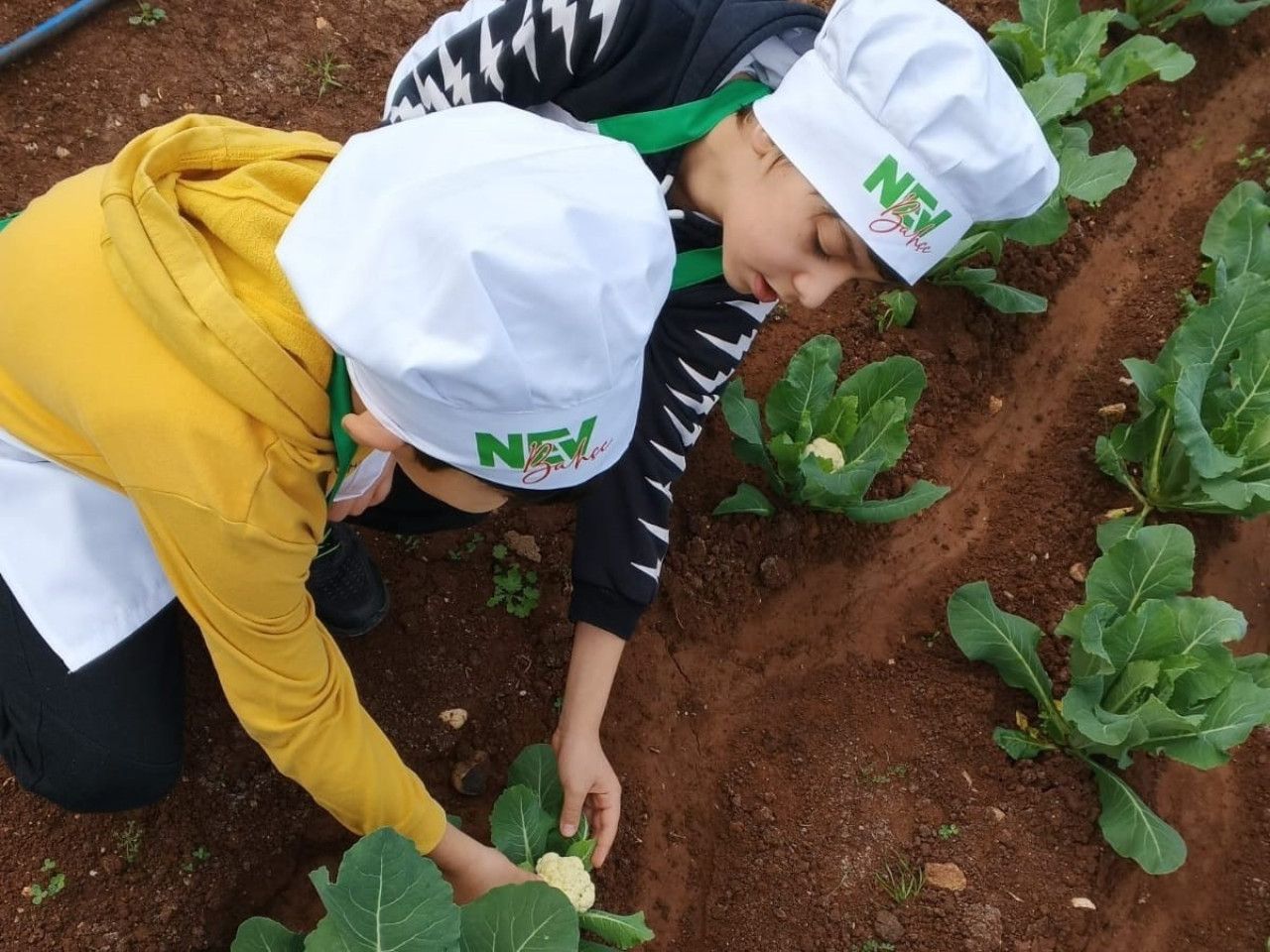 Çocuklar Mutfakta: Doğa ve Sağlık Eğitimi Bir Arada