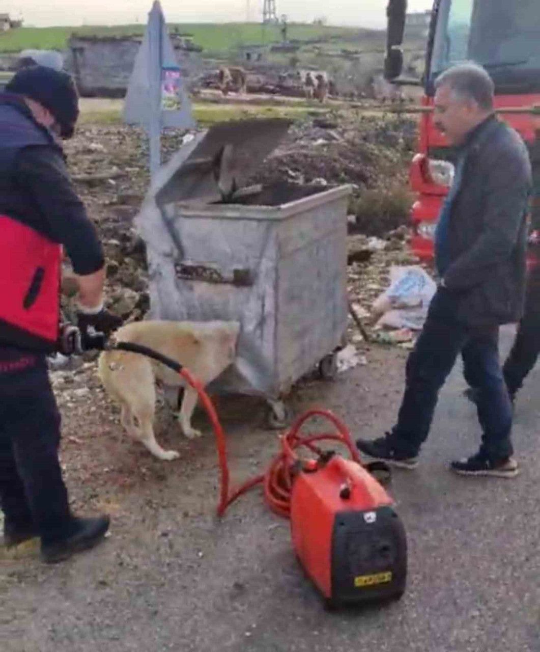 Çınar'da Yaşanan Olayda Sokak Köpeği Kurtarıldı: İtfaiyenin Zorlu Mücadelesi