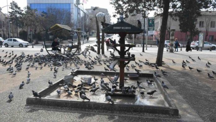 Sokak Hayvanlarını Unutmayın Dediler