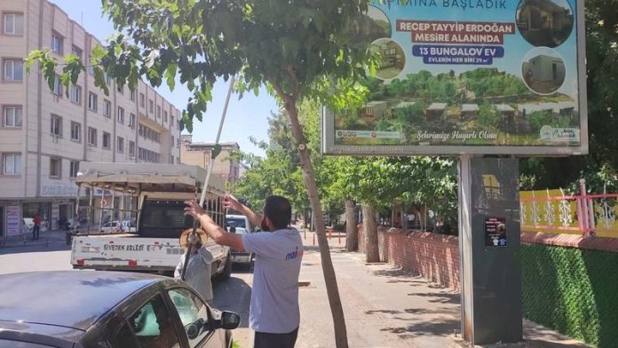 Tehlike Arz Eden Ağaçlar Budandı
