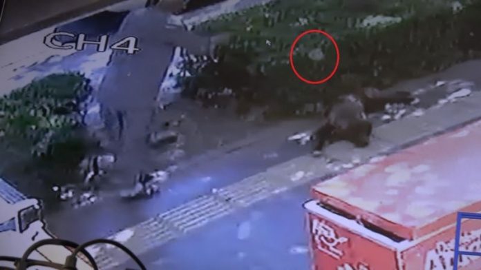 İnsanlığını Unutan Bir Vatandaş Daha