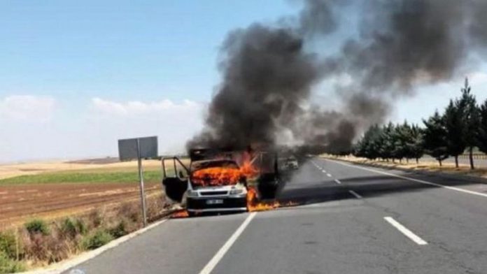 Kavun Aşkı Büyük Zarara Uğrattı