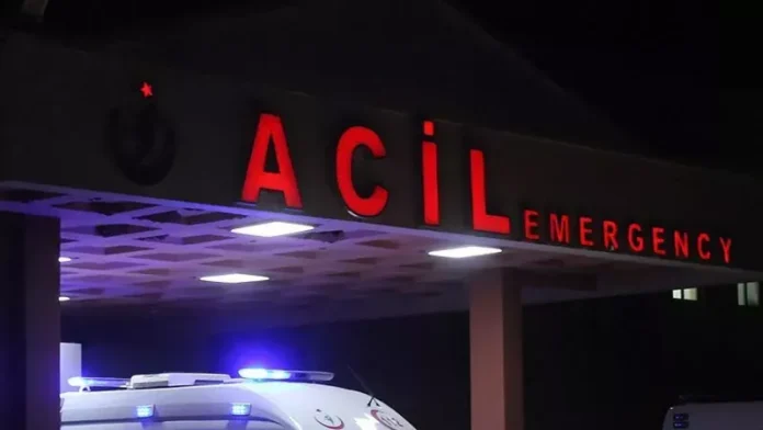 Otlar Arasında Patlayan Mermi Dehşet Saçtı